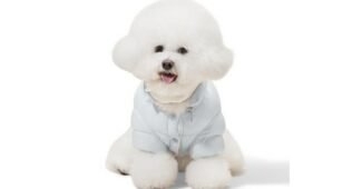 강아지패딩 사용한 사람만 추천하는 마음에 쏙드는 상품 1타3피 추천!추천!