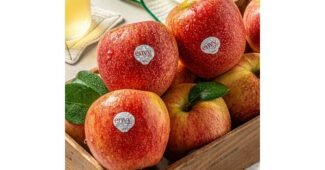 엔비사과 신뢰할 수 있는 추천코스! 인플러언서들이 먼저 찾는 상품 빈틈없는비교