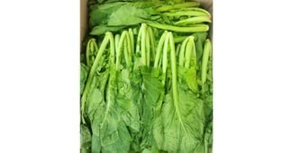 여수돌산갓 짱짱짱!! 가성비&가심비 상품 1타3피 추천!추천!