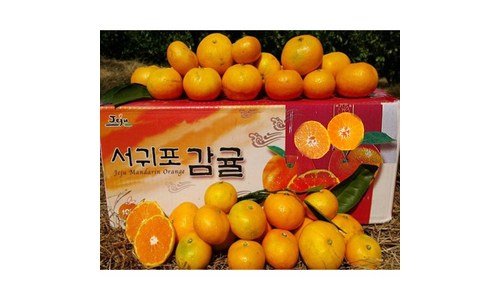 귤5kg 어머! 이건 사야해! 가성비&가심비 상품 분석 베스트
