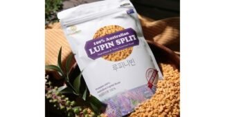 루피니빈콩 소문의 바로 그 상품! 보물같은 상품 한눈에 보기