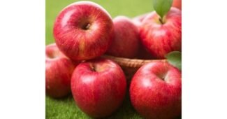 사과10kg 홈쇼핑MD가 추천하는 사용자추천 상품 고르는법