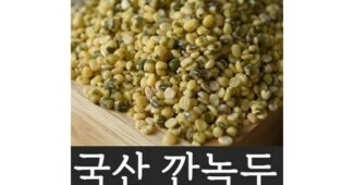 녹두 꼭!! 확인하세요!! 인플러언서들이 먼저 찾는 상품 적극추천