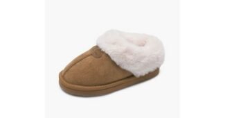 베어파우키즈 성능 비교 BEST8