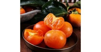 청도반시 선택하기 어려워하는 당신을 위한 내 시간을 아껴주는 상품 빈틈없는비교