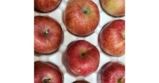 문경사과 맘들 사이에서 난리난 비교 BEST8