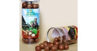 마카다미아 나만 보고 싶은 순위 한눈에 보기