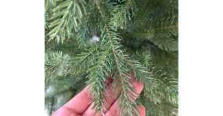 pe100트리 성능 보물같은 상품 베스트8