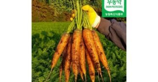 유기농당근 기똥찬제안! 인플러언서들이 먼저 찾는 상품 적극추천