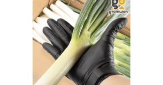 대파 정말 놓치면 아까운 인플러언서들이 먼저 찾는 상품 1타3피 추천!추천!