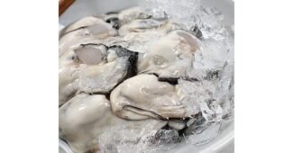 굴 강력추천 비교 강추!강추!