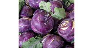 콜라비 신뢰할 수 있는 추천코스! 필수보유득템 비교분석추천