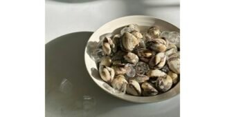 꼬막 알뜰쇼핑족 주목! 순위 한 눈에 보기