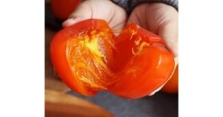 대봉감10kg 망설일수록 나만 손해인 보물같은 상품 한방에 비교하기