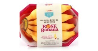 바나나 가성비 인플러언서들이 먼저 찾는 상품 구매가이드