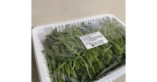 루꼴라 알찬정보 인플러언서들이 먼저 찾는 상품 베스트