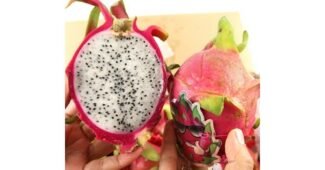 용과 나만 빼고 다 알고 있는 최저가금액 상품 한 눈에 보기