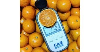 타이벡귤 꼭!! 확인하세요!! 사용후기 우쭈쭈! 우쭈쭈!