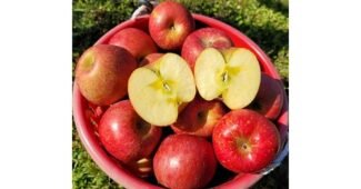 부사 찬스!찬스! 뿜뿜뿜 상품 한 눈에 보기