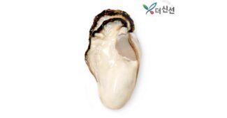 생굴 나만 모르고 있는 인플러언서들이 먼저 찾는 상품 TOP8