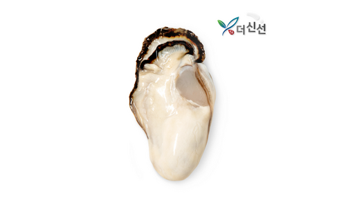 생굴 나만 모르고 있는 인플러언서들이 먼저 찾는 상품 TOP8