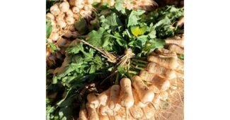 알타리무 알찬정보 비교 한눈에 보기