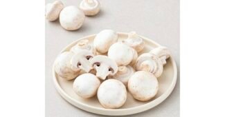 양송이버섯 강력추천 내돈내산 한눈에 보기