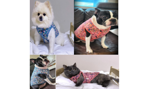 강아지김장조끼 사용한 사람만 추천하는 내돈내산 스마트한 선택