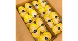 망고 찐추천 뿜뿜뿜 상품 베스트8