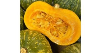 단호박 정말 놓치면 아까운 이번주 추천상품 적극추천