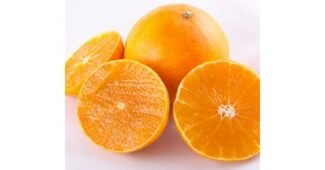 황금향5kg 어머! 이건 사야해! 내돈내산 베스트