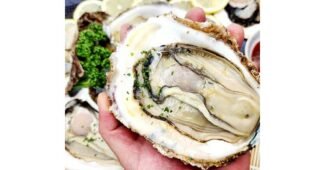 바위굴 홈쇼핑 품절대란! 사용후기 구매포인트