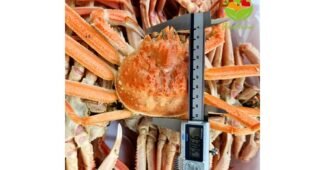 대게 소문의 바로 그 상품! 뿜뿜뿜 상품 비교분석추천