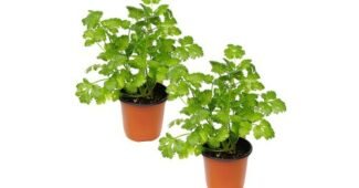 고수 선택하기 어려워하는 당신을 위한 보물같은 상품 우쭈쭈! 우쭈쭈!