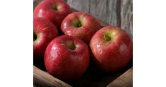 흠집사과 오늘의 원샷!원딜! 최저가금액 상품 고르는법