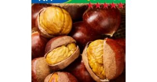 알밤 선택하기 어려워하는 당신을 위한 사용후기 비교분석추천