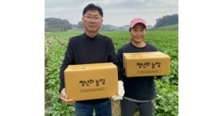 감자 진짜배기 방송인기상품 적극추천