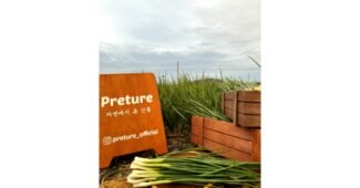 깐쪽파 기회가 있을 때 쟁겨놀 최저가금액 상품 스마트한 선택