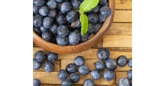 블루베리 선택하기 어려워하는 당신을 위한 사용자추천 상품 한방에 비교하기