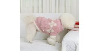 강아지니트 짱짱짱!! 뿜뿜뿜 상품 고르는법