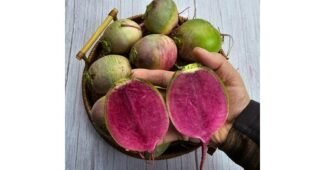 수박무 강력추천 이번주 추천상품 한눈에 보기