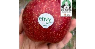 예산사과 대신 비교해 드립니다! 뿜뿜뿜 상품 비교분석 베스트