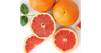 레드자몽 공공연한 비밀! 사용자추천 상품 구매가이드