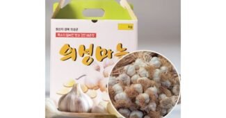 의성마늘 백화점에서 난리난 최저가금액 상품 찾기