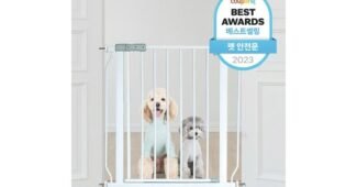 강아지안전문 지금이 최고의 타이밍! 뿜뿜뿜 상품 선택노하우