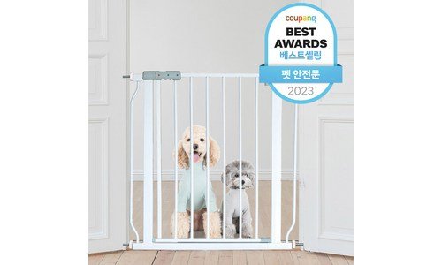 강아지안전문 지금이 최고의 타이밍! 뿜뿜뿜 상품 선택노하우