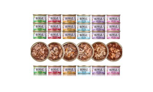 고양이습식사료 완판전 미리 주문 필수! 내돈내산 TOP8