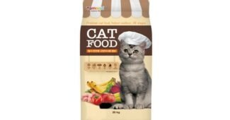 고양이사료 나만 알고 몰래 사용하는 필수보유득템 베스트9