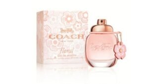 면세점샤넬스포츠향수 나만 보고 싶은 순위 베스트