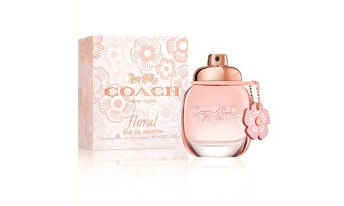 면세점샤넬스포츠향수 나만 보고 싶은 순위 베스트